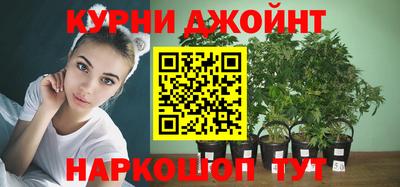 прущие грибы Славянск-на-Кубани