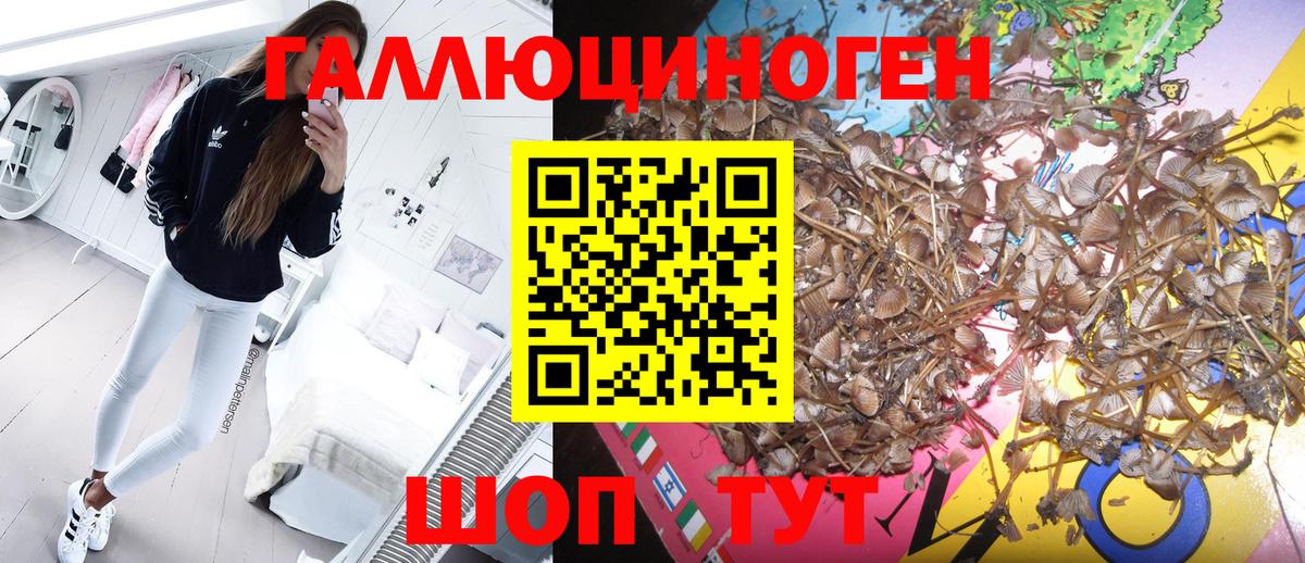Псилоцибиновые грибы Psilocybine cubensis  Вход с VPN  купить наркоту  Ростов Великий 